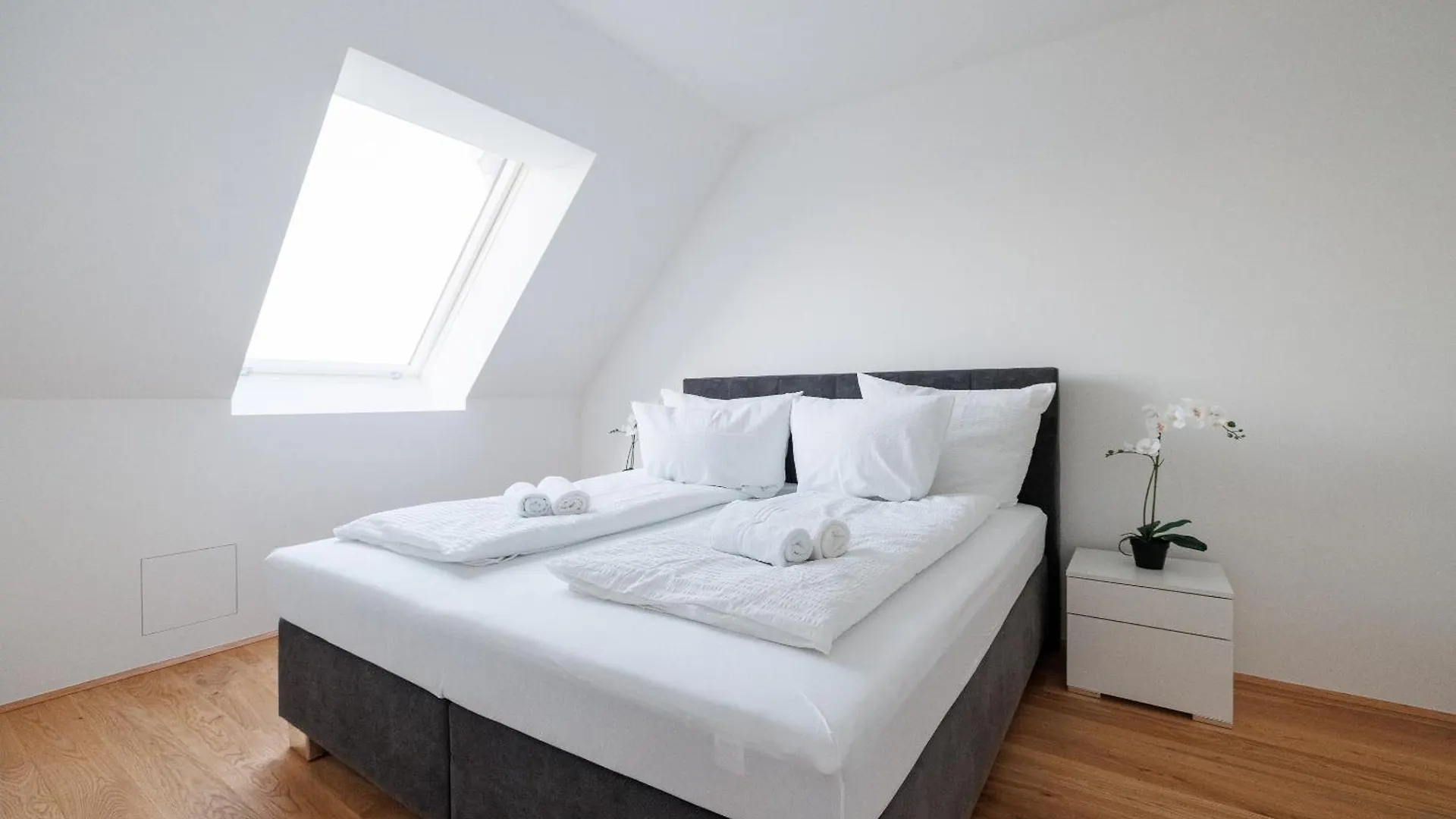 Symphony Apartments 39 - Modern Loft With Terrace And Grill In Central Location Vienna