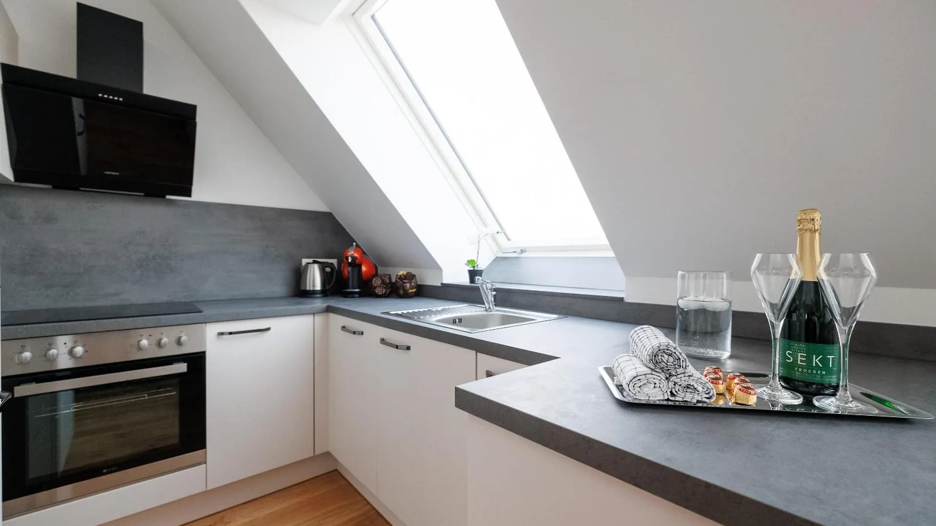 Symphony Apartments 39 - Modern Loft With Terrace And Grill In Central Location Vienna